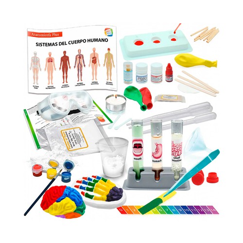 Juego de anatomía para niños, Anatomicefa Plus, CEFA STREAM.