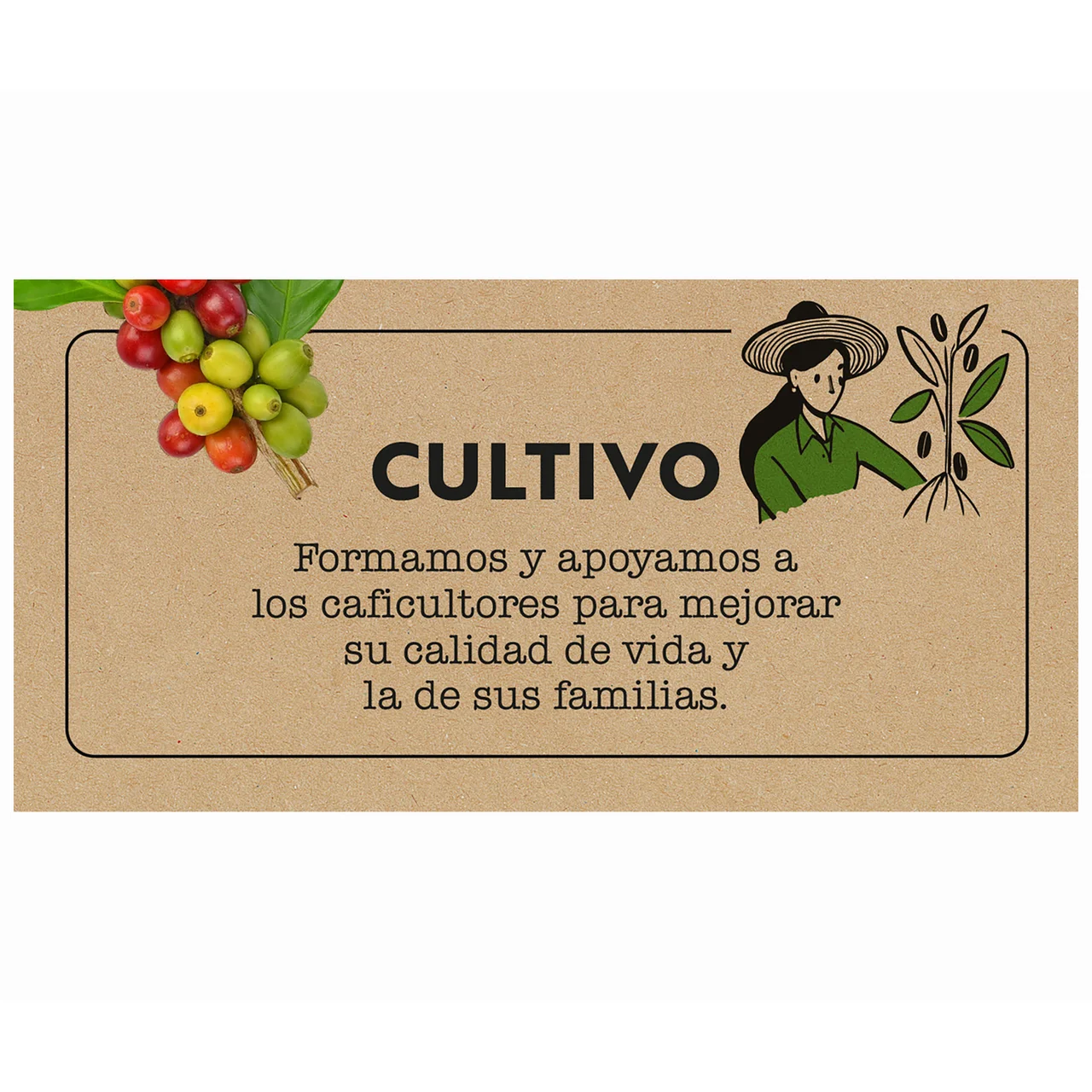 Café molido natural del Trópico 500 g.