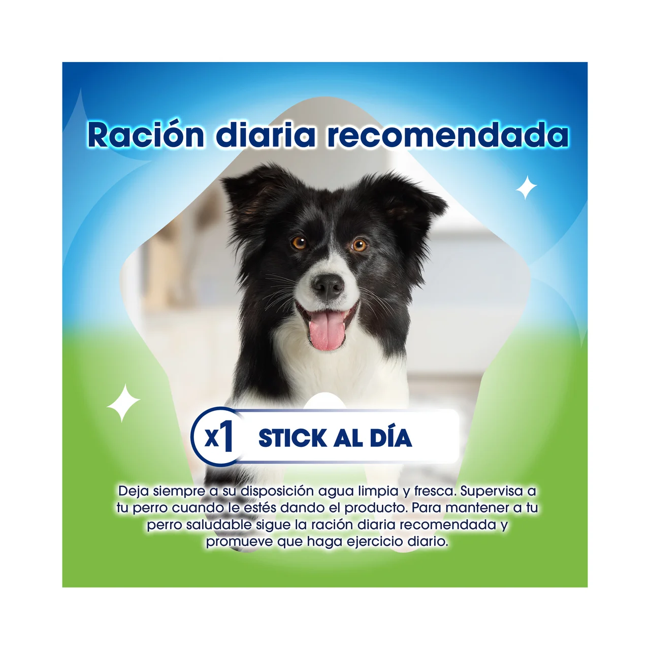 DENTALIFE ACTIVFRESH Snack dental perros 25 a 40 kg 4 uds. 142g