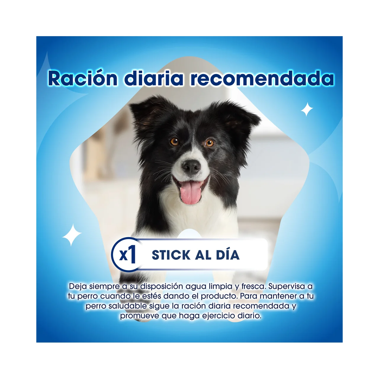 PURINA DENTALIFE Snacks dental para perros de raza grande, 4 uds. 142 g.