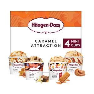 HÄAGEN-DAZS Mini tarrinas de helado de caramelo con distintos sabores 4 x 100 ml.