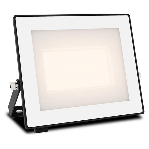 Proyector exterior 50W, luz fría IP65 LOIS PHILIPS.