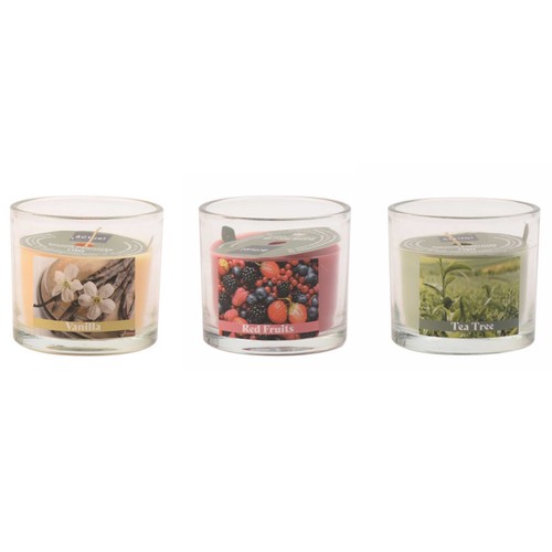 Vela 90g de cera, perfumada vainilla frutas rojas o árbol de té. ACTUEL