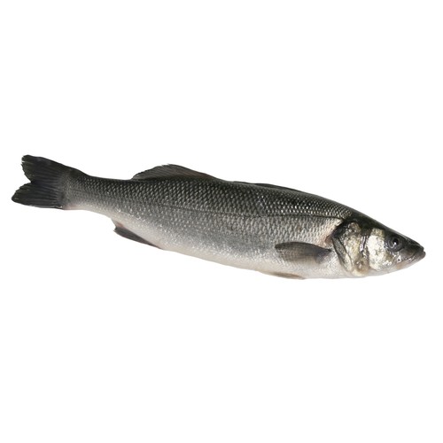 Lubina grande mostrador - Filetes