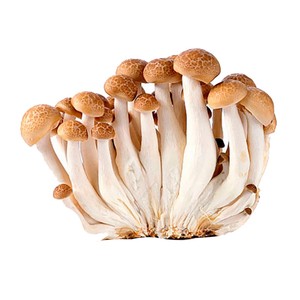 Shimeji marrón 150 g.