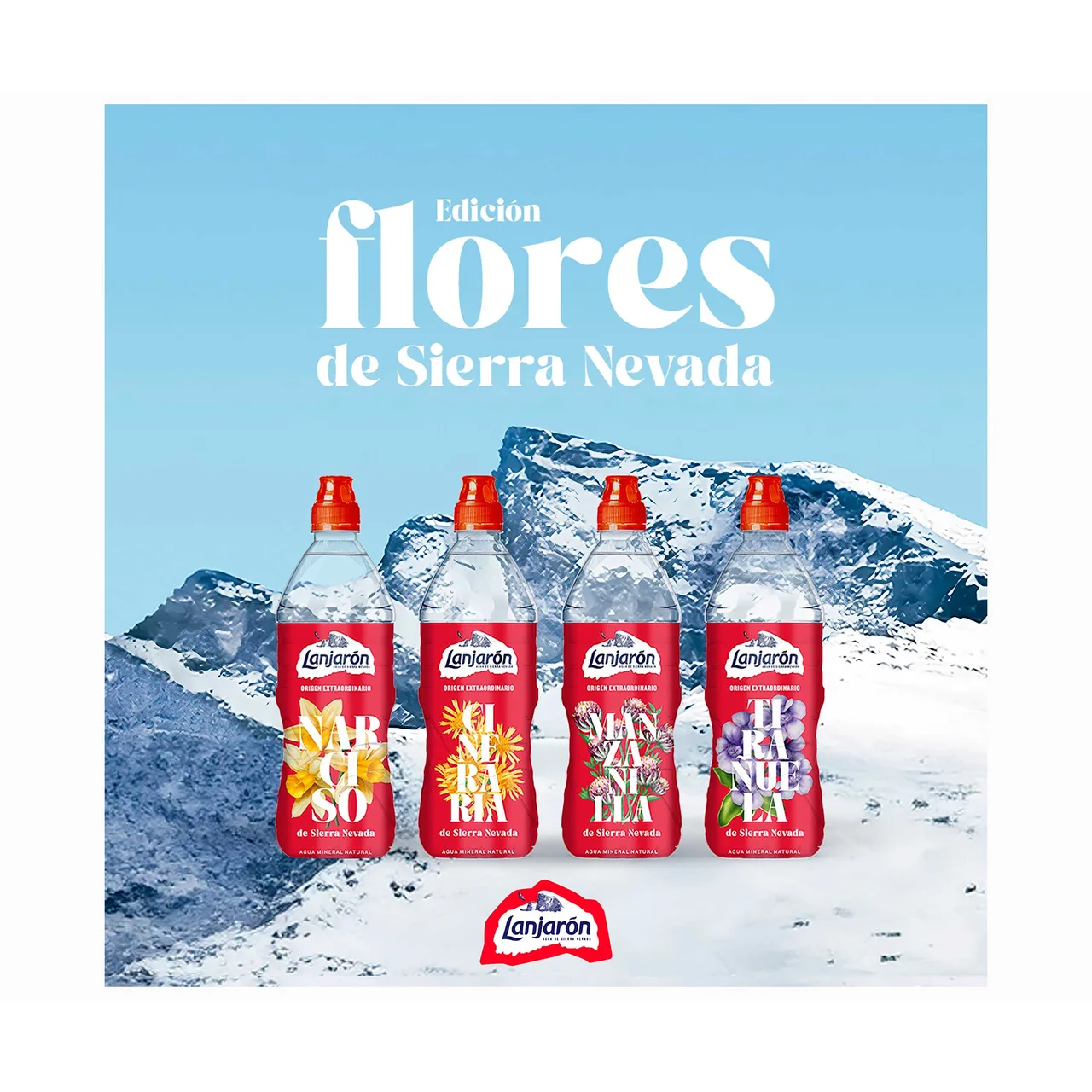 Sport Agua mineral botella de 75 cl.