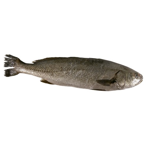 Corvina mostrador. - Rodajas