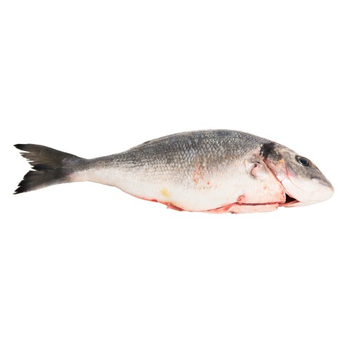 Dorada mostrador