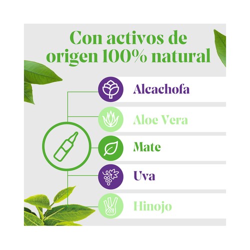 ARKOPHARMA Complemento alimenticio a base de extractos vegetales, en prácticas ampollas 20 uds.