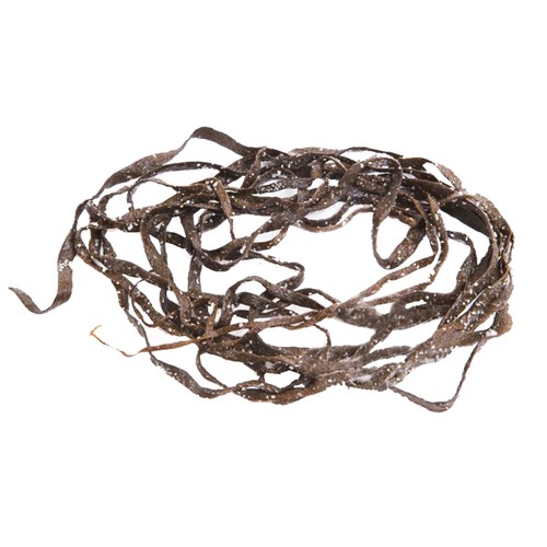 ALCAMPO CULTIVAMOS LO BUENO Alga Espagueti de Mar fresca en sal  Bandeja