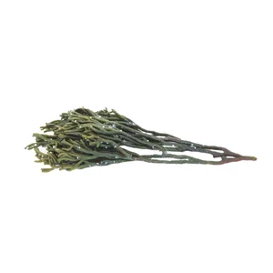 ALCAMPO CULTIVAMOS LO BUENO Alga Percebe fresca en sal  Bandeja