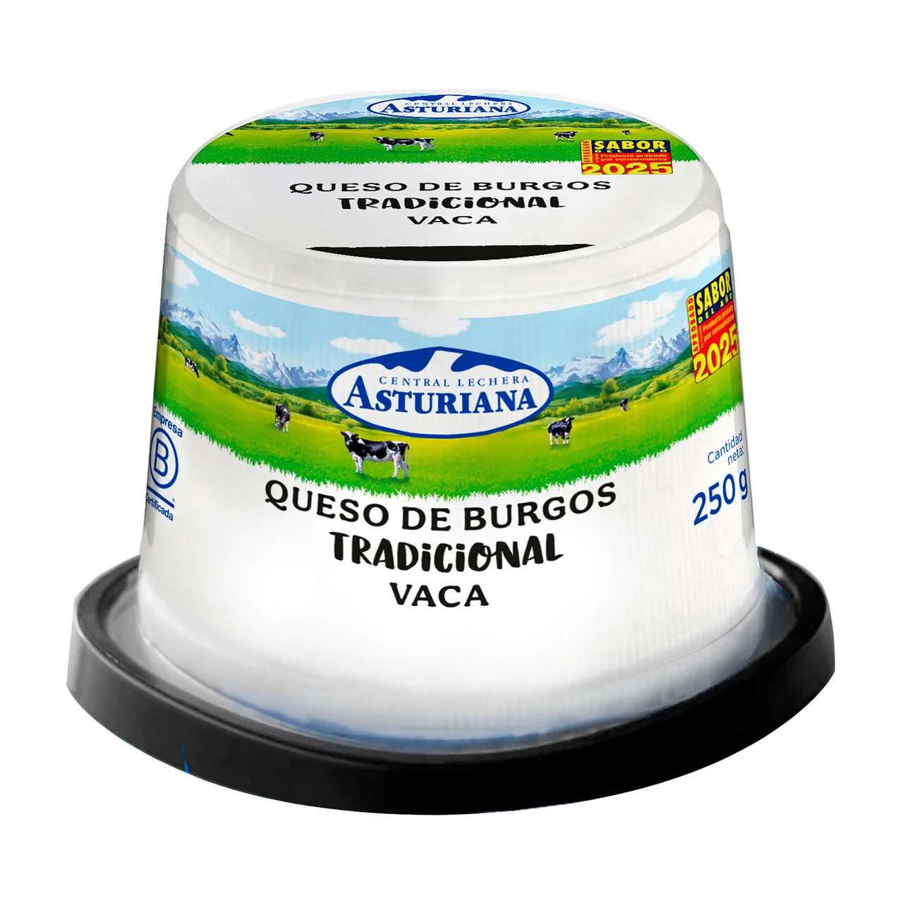 Queso de Burgos fresco Tradicional 250 g.