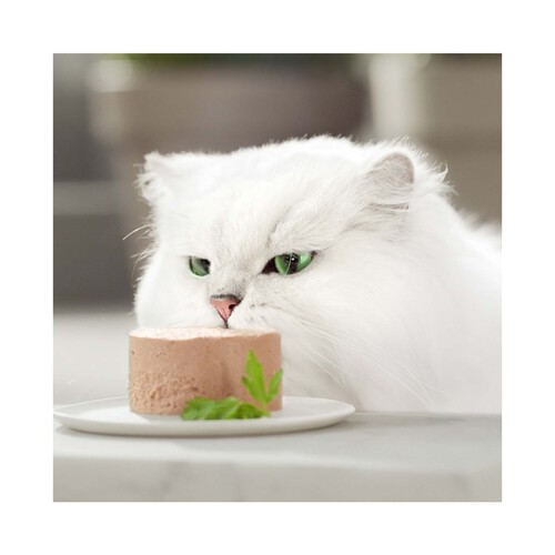 PURINA GOURMET Comida para gatos adultos a base de mousse de pavo y espinacas GOURMET tarrina 85 g.