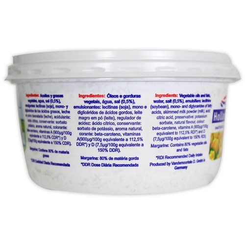 HOLLAND Tarrina de margarina vegetal HOLLAND 500 g.