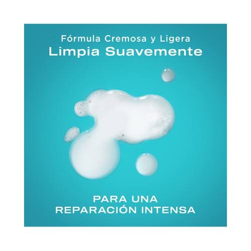OGX Bond protein repair Champú reparador y protector, para cabellos secos y dañados 385 ml.