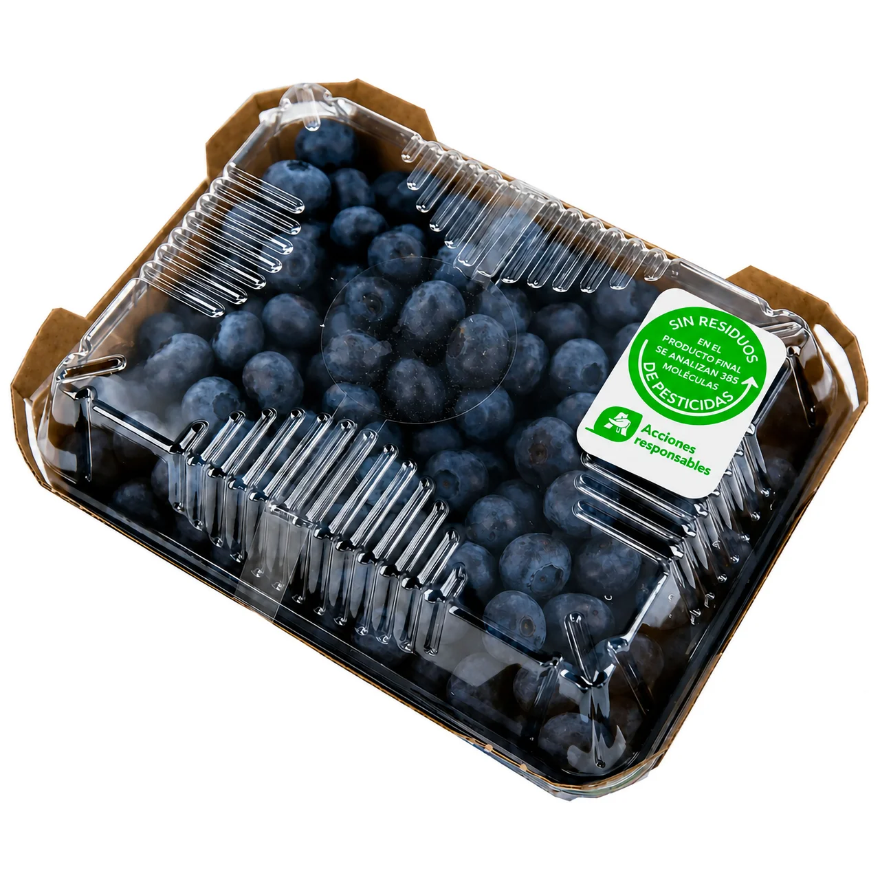 ALCAMPO CULTIVAMOS LO BUENO Arándanos de montaña de temporada 500 g.