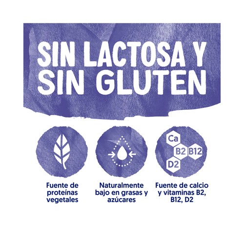 ALPRO Especialidad de soja fermentada con arándanos 4 x 125 g.