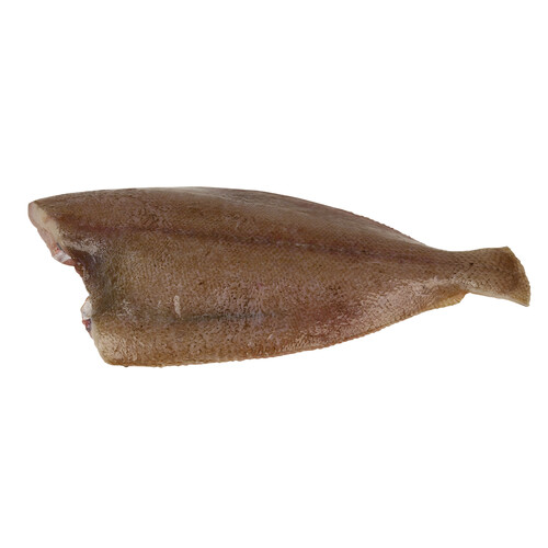 Gallo grande mostrador