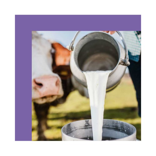 MILKA Chocolate con leche cremoso 100 g.