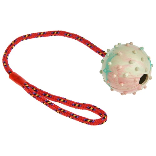 PRODUCTO ALCAMPO Juguete bola de goma de 6.5 cm, con cordón de 45 cm.