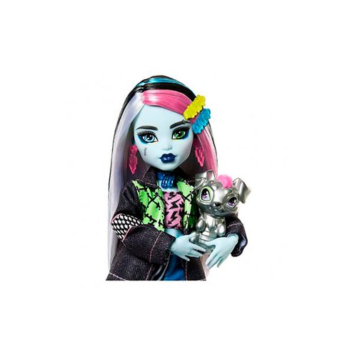 MONSTER HIGH Frankie Stein Muñeca articulada con mascota y accesorios de moda, 25cm juguete +4 años