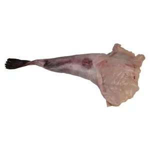 Rape cola mediana mostrador