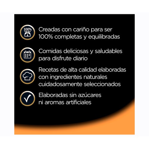 CESAR Alimento de perro húmedo en tarrina de buey natural goodnes 100 gr.