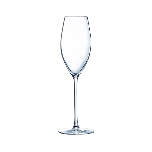 Copa con forma de flauta 24cl, modelo Olympia ACTUEL.