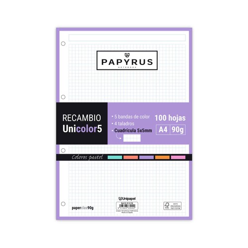 Recambio de 100 hojas tamaño A4, 4 taladros, 90gr, rayado cuadrícula 5x5 con margen, PAPYRUS.