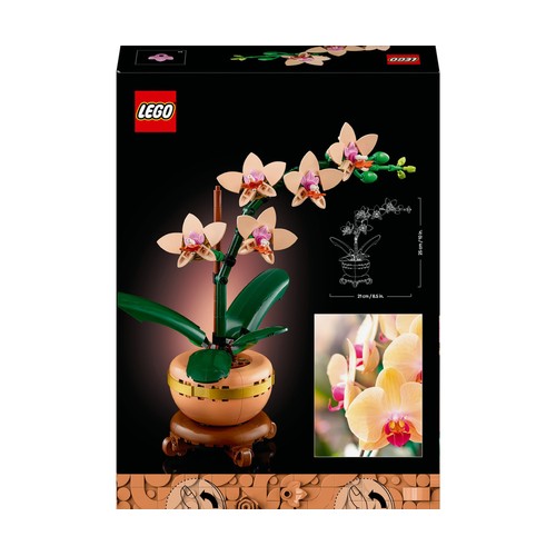 LEGO Botanicals Collection Miniorquídea 10343, 274 piezas, +18 años.