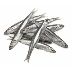 Boquerón calibre 60-100.