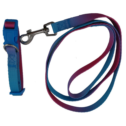 PRODUCTO ALCAMPO Fency Conjunto de collar tamaño S (25 - 35 cm) + correa (120 cm), ambos de color azul. 