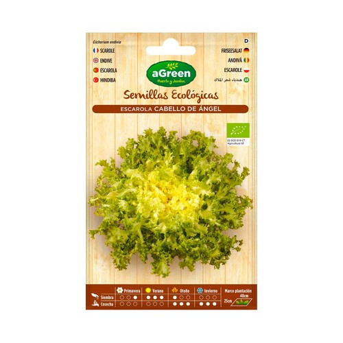 Semillas ecológicas para sembrar escarola de la variedad cabello de angel HA-HUERTO Y JARDÍN 0.6 gramos.