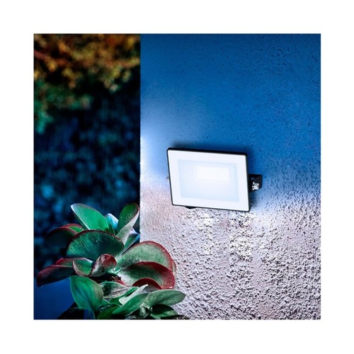 Proyector exterior 10W, luz fría IP65 LOIS PHILIPS.