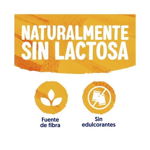 ALPRO Meal to go Bebida vegetal de soja sabor mango y fruta de la pasión 500 ml.