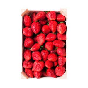 Fresón, tarrina 1 kg.