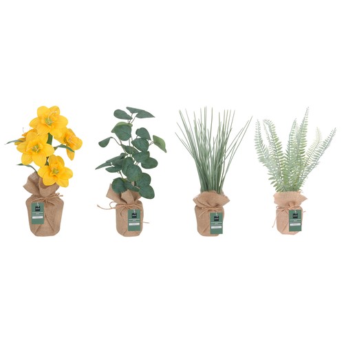 Flores primaveral en maceta  yute 40cm surtido. AUCHAN
