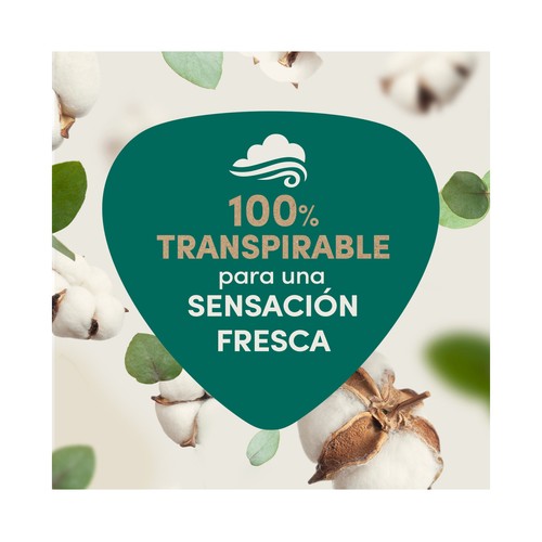 CAREFREE Cotton natural Protegeslip (salvaslips) normal, de algodón orgánico, hipoalergénicos y transpirables 30 uds.