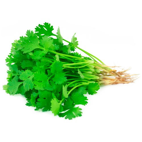 Cilantro manojo 1ud.