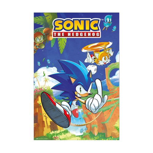 Póster Sonic the Hedgehog and Tails 61x91,5cm, GRUPO ERIK.