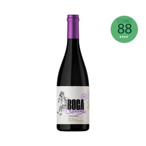 BOCACHANCLA Vino tinto roble con D.O. Ribera del Duero botella 75 cl.