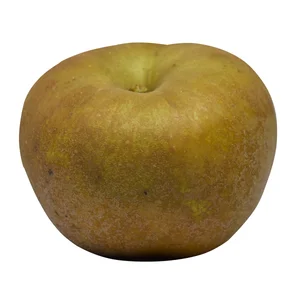 Manzanas reineta gris bandeja