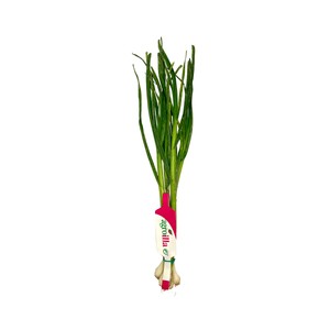Ajetes CONCA DE LA TORDERA manojo 180g.