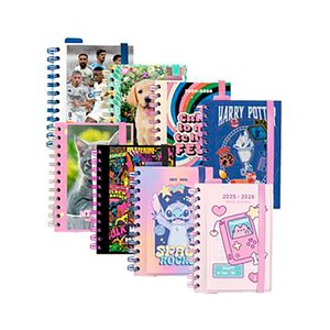 Imagen de Agenda escolar 25/26, formato días, 11 meses de junio a agosto, surtido de diseños, GRUPO ERIK.