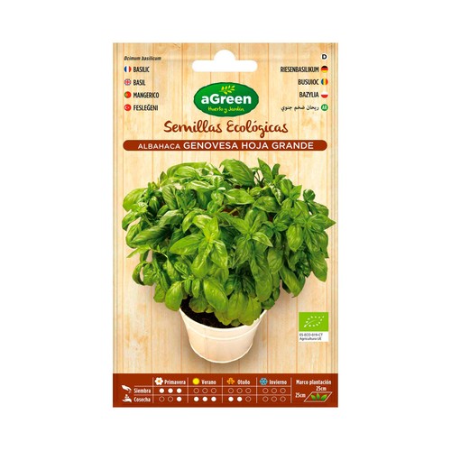 Semillas ecológicas para plantar albahaca de la variedad hoja grande HA-HUERTO Y JARDÍN 1.5 gramos.