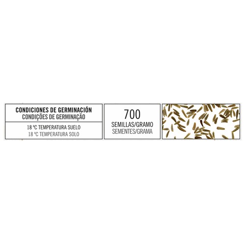 Sobre de semillas para plantar margaritas de la variedad Leucanthemum de tamaño gigante y color blanco PRODUCTO ALCAMPO.
