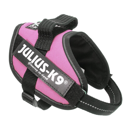 JULIUS K9 Arnés regulable para perros con reflectante color rosa JULIUS K9 talla mini (4-7 kg) 1 ud.