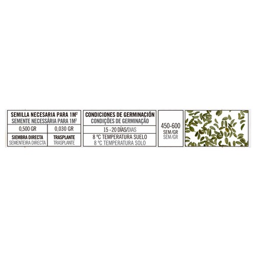 Sobre de semillas para plantar perejil de la variedad hoja lisa 2. AUCHAN