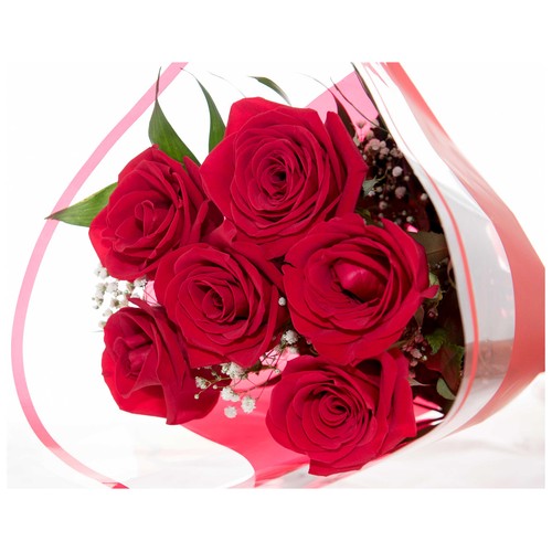 Bouquet de 6 rosas rojas con tallo de 50-60cm, variedad Ecuador VIVEROS 1 unidad.