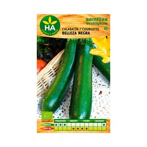 Semillas ecológicas para sembrar calabacín de la variedad belleza negra HA-HUERTO Y JARDÍN 4 gramos.